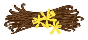 La vanille, l'une des épices les plus appréciées