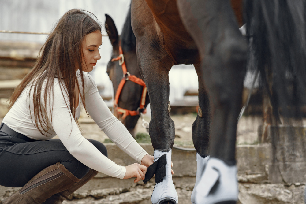 Les signes précoces des troubles digestifs chez le cheval ce que tout propriétaire doit savoir