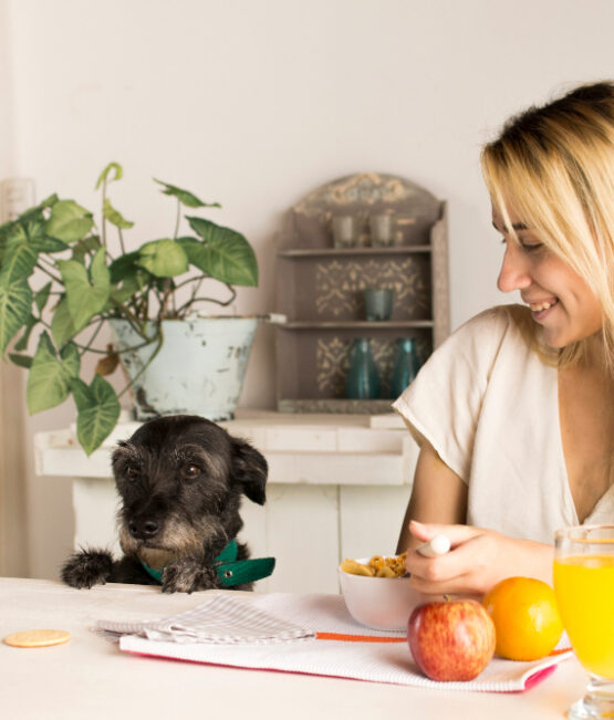 L’importance de la nutrition holistique pour la santé de votre animal de compagnie