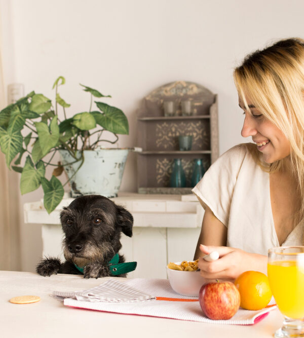 L’importance de la nutrition holistique pour la santé de votre animal de compagnie