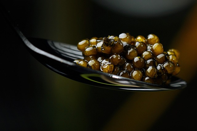  Derrière l&rsquo;excellence du caviar : plongez au cœur de la maison Sturia