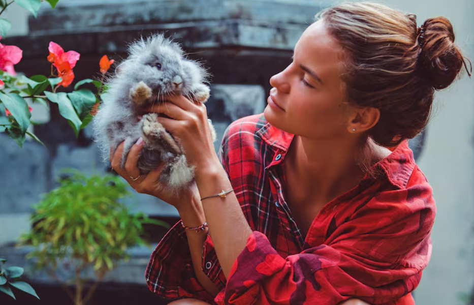 Formation naturopathie animale