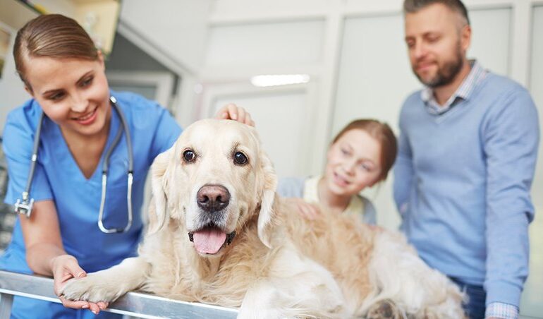 Santé humaine et animale : pourquoi la prévention vétérinaire est capitale