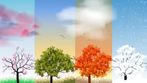 Vitalité et climat : l'impact des cycles saisonniers sur notre équilibre