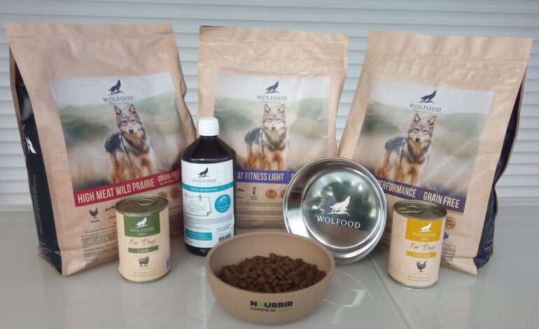 nutrition holistique pour la santé de votre animal de compagnie