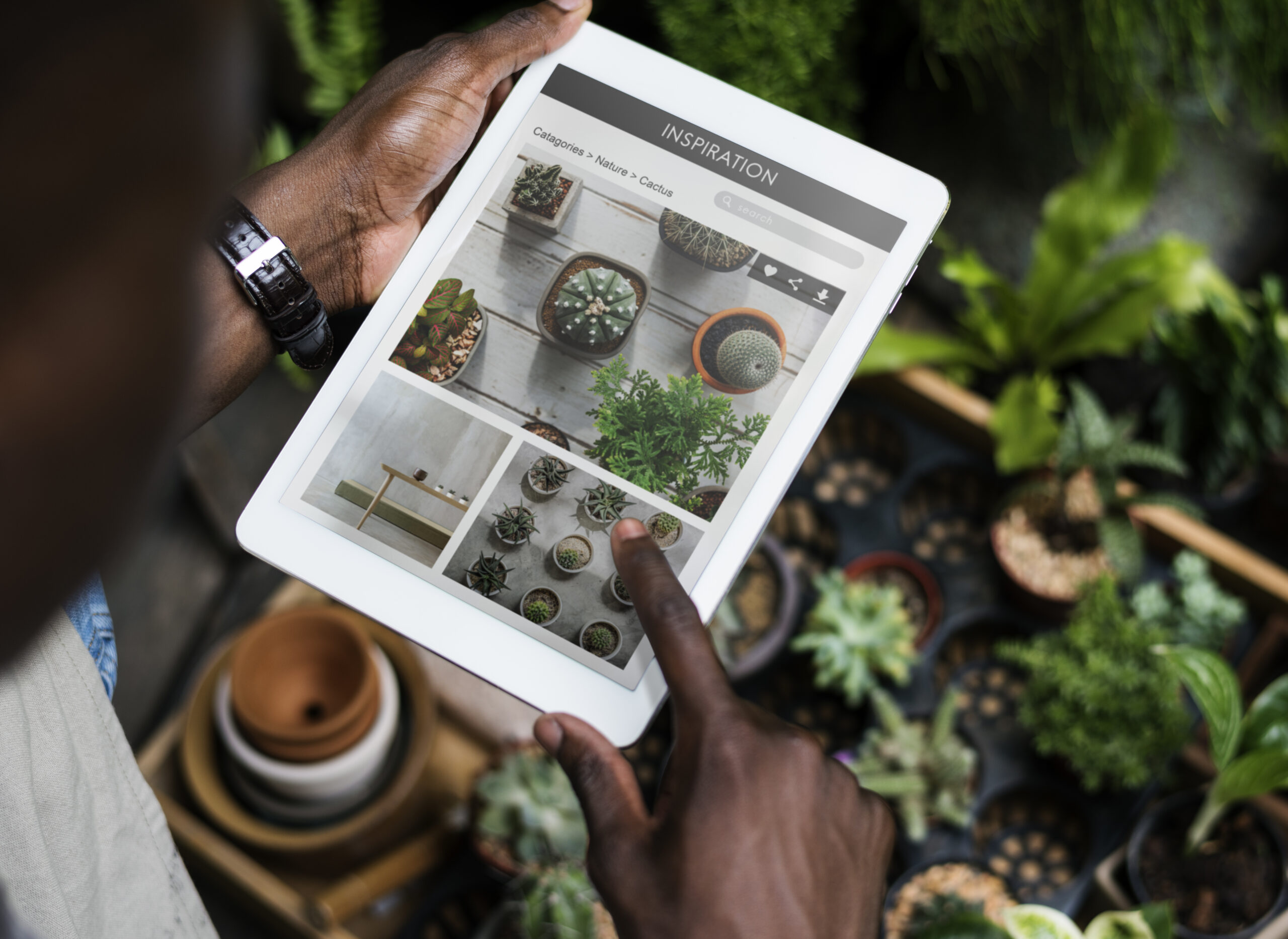 Le logiciel naturopathe est-il l&rsquo;outil indispensable pour moderniser votre cabinet ?